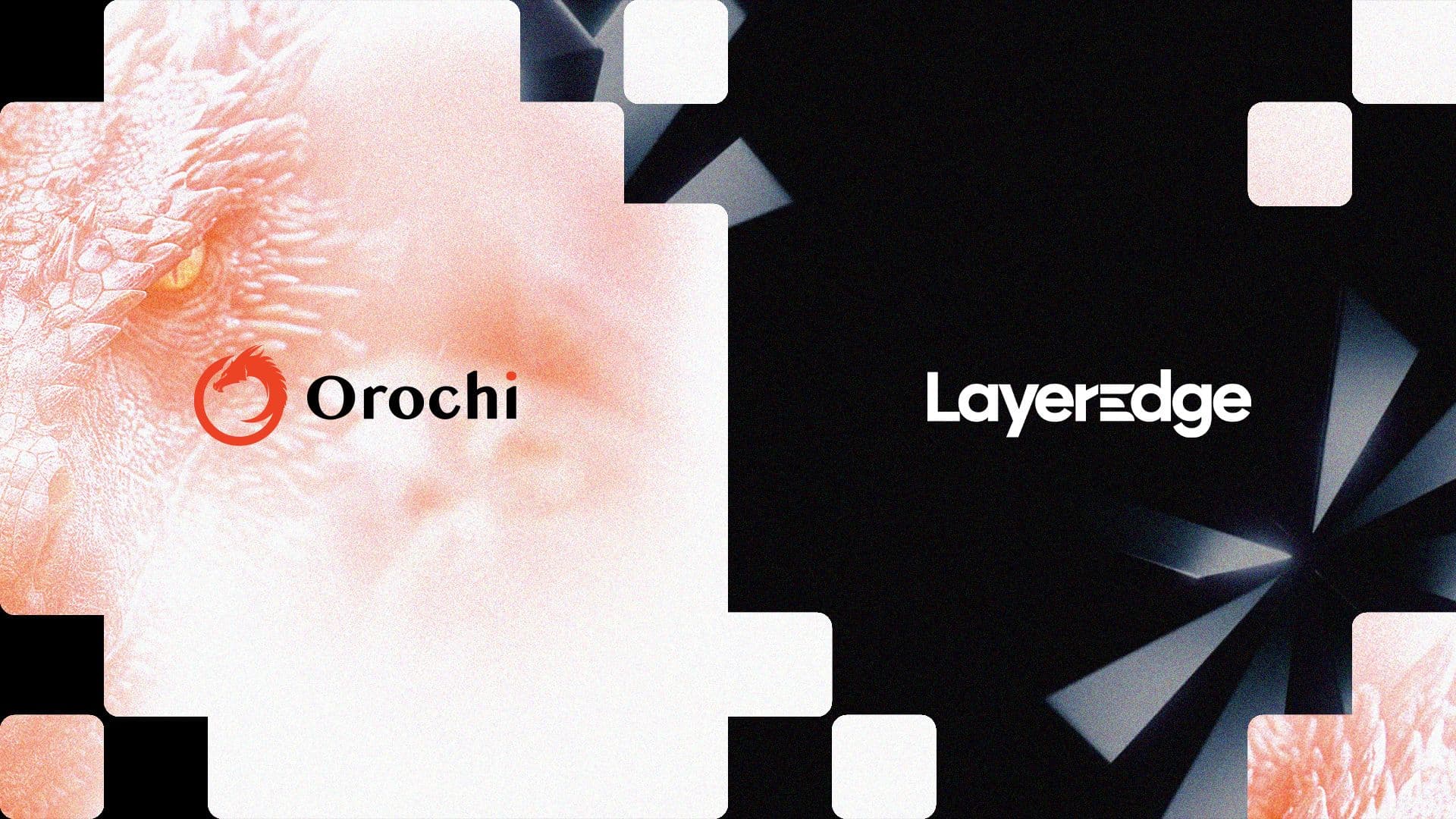 blog card